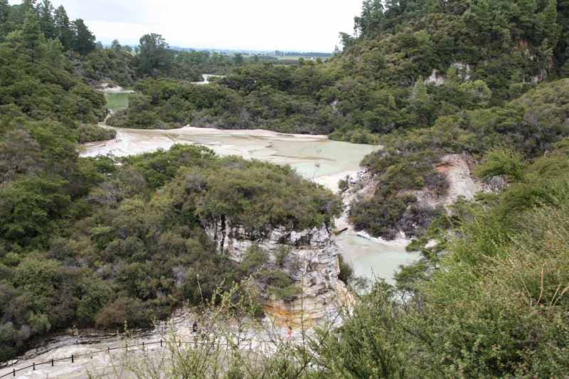 Nieuw-Zeeland 2011 - 0769